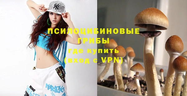ECSTASY Осинники