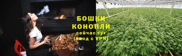 гидра Переславль-Залесский